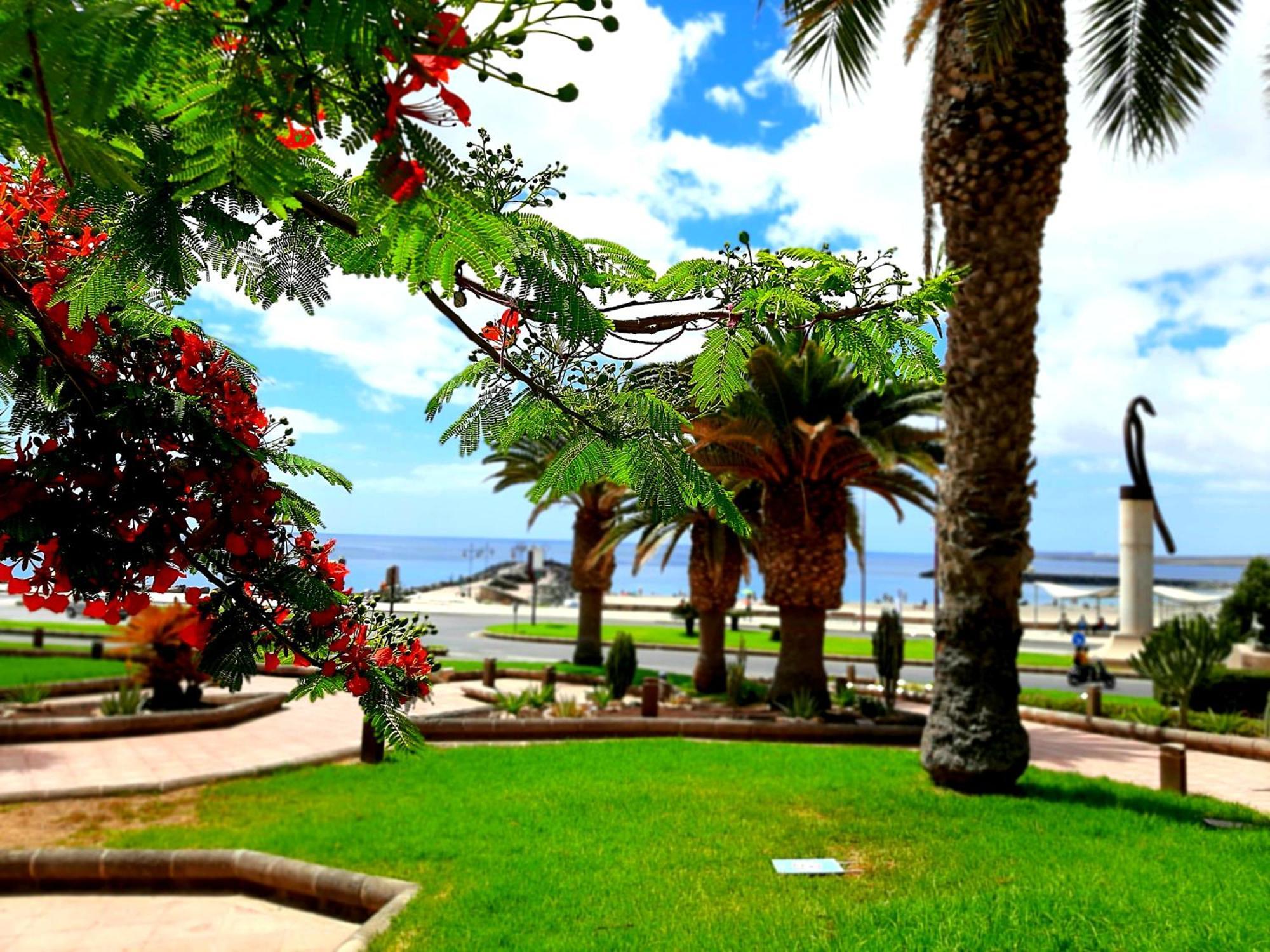 El Bounty De Playa Chica Villa Puerto del Rosario  Room photo